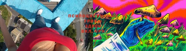 спиды Коряжма