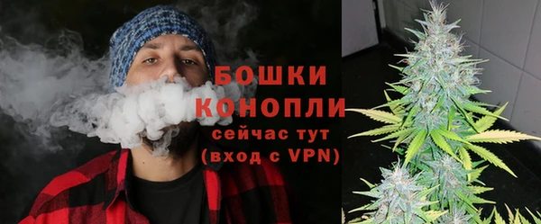 бошки Краснослободск
