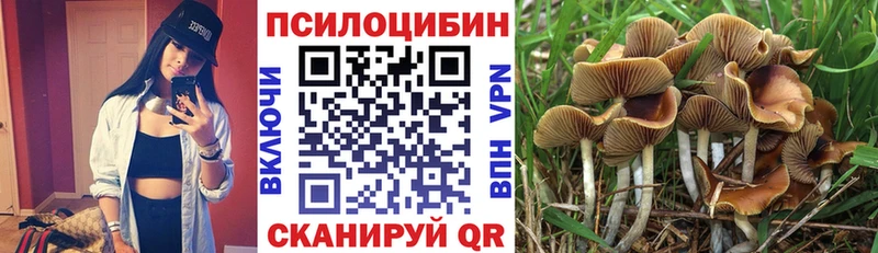 Псилоцибиновые грибы MAGIC MUSHROOMS  купить закладку  Красноуральск 